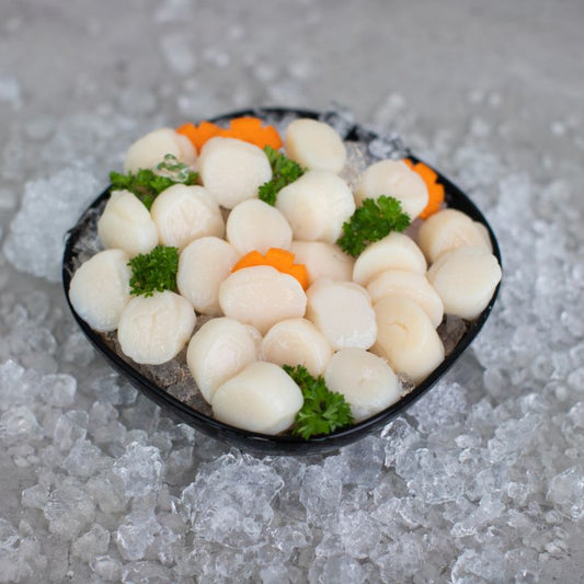 Japanese Scallop (1kg)